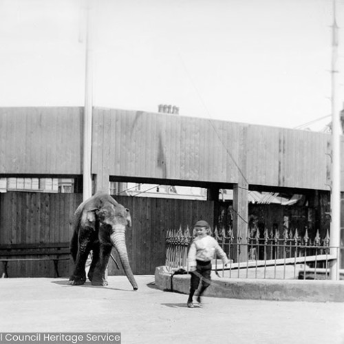 Boy being chased by an elephant