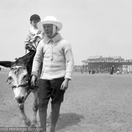 Boys and donkey on beach