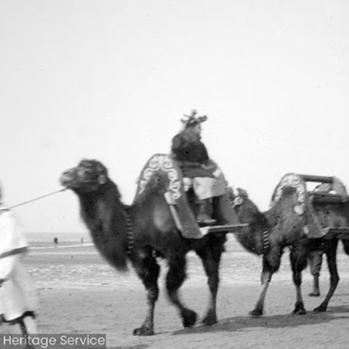 Man and camels on the beach