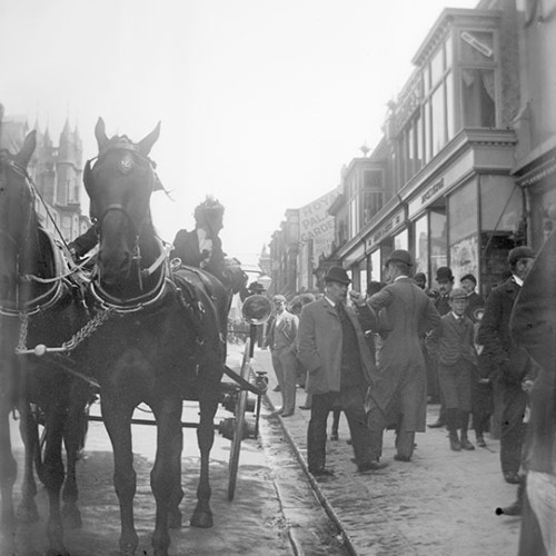 Woman on horse and carriage in street