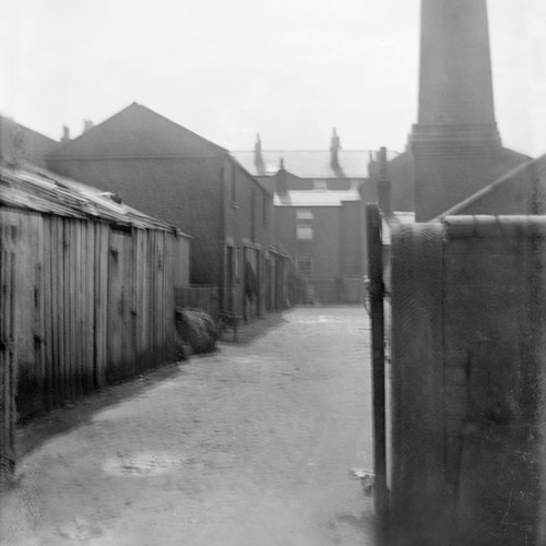 Yard behind some buildings