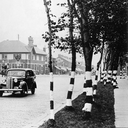 Trees that run alongside the road are painted with black and white stripes.