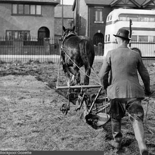 Man walking behind a horse plough, ploughing a field.