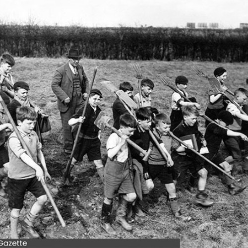 Group of schoolchildren and a teacher walking across a field. The children are carrying tools for digging.