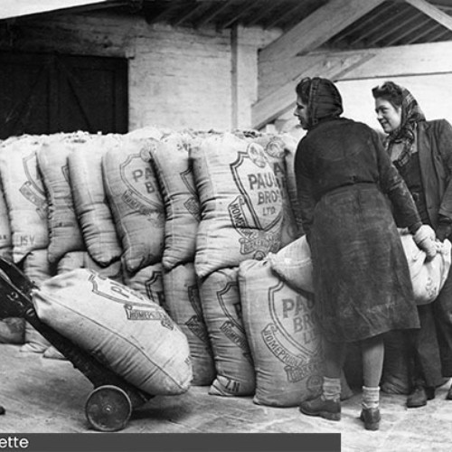 Three female workers moving large sacks of goods.