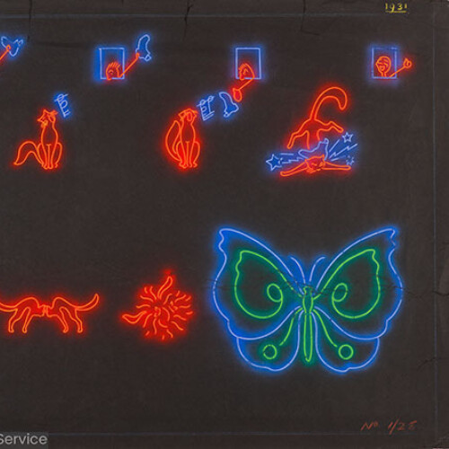 Illustration of an illumination depicting a series of cats and a butterfly
