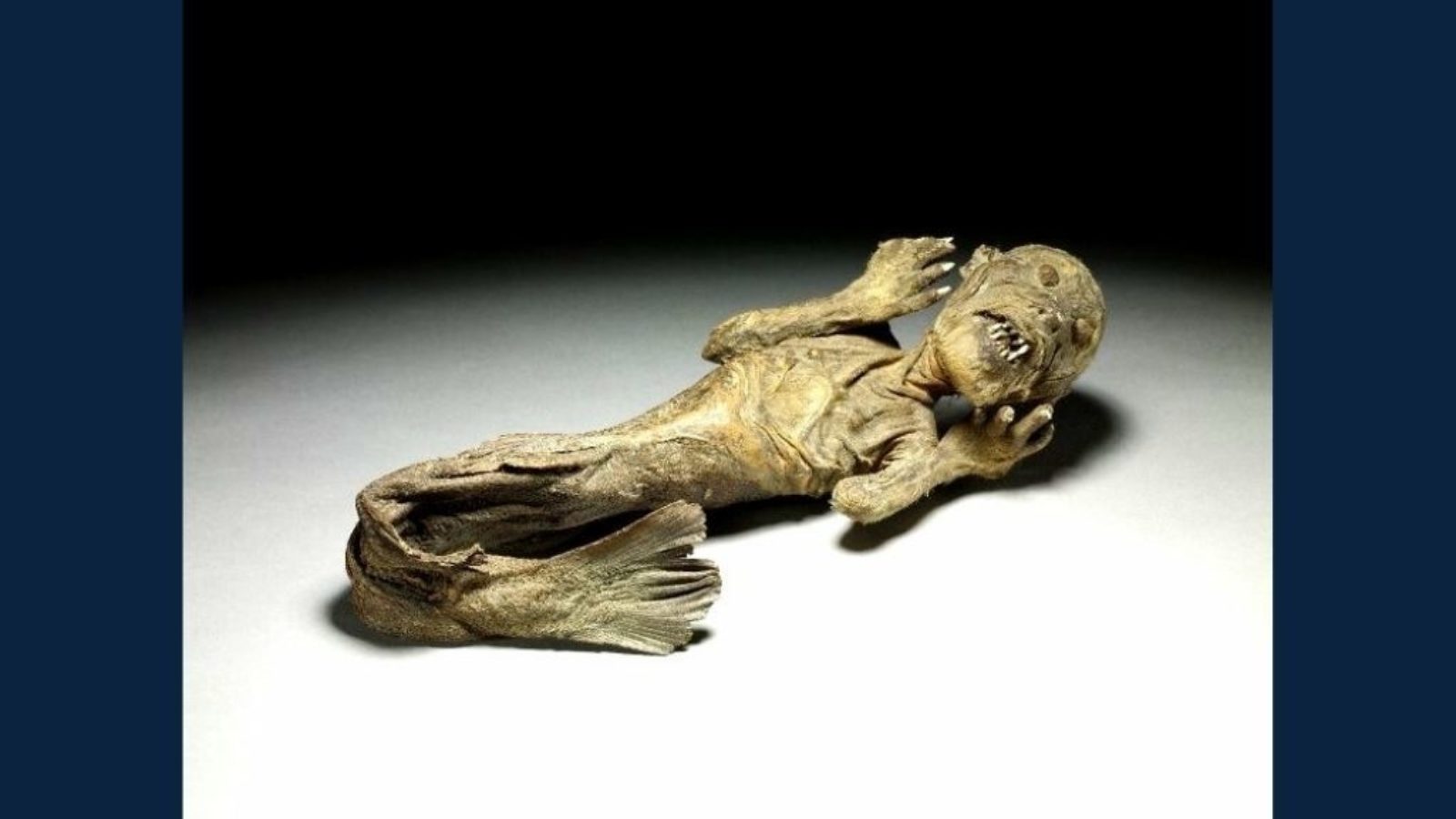 A figure of a mermaid with the tail of a fish and the upper body of a monkey.