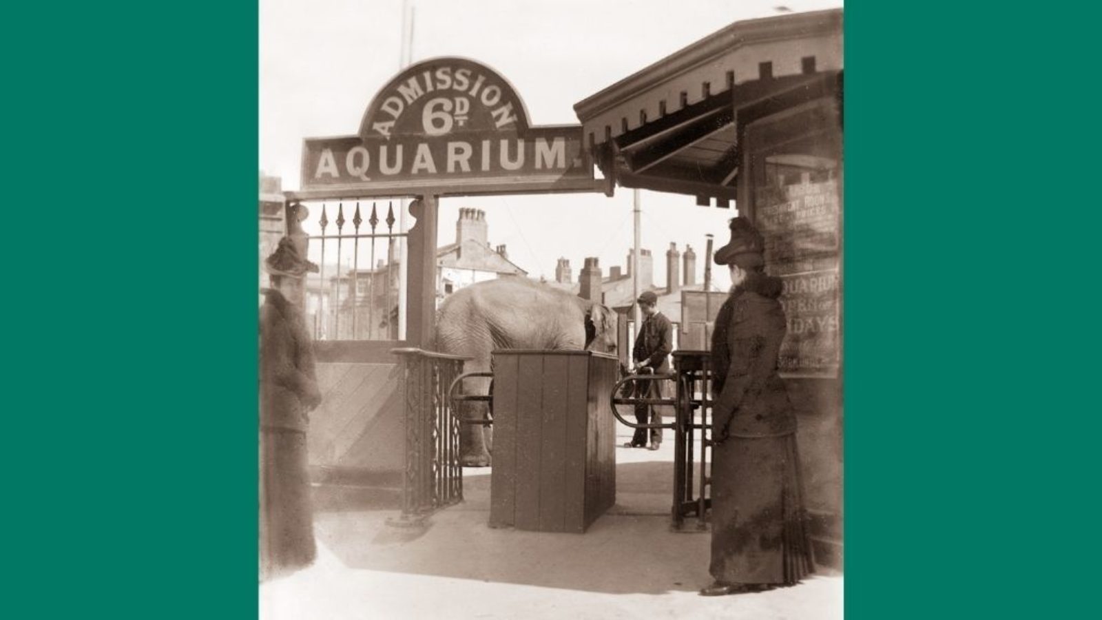 The entrance to an aquarium with an elephant and keeper in the background.