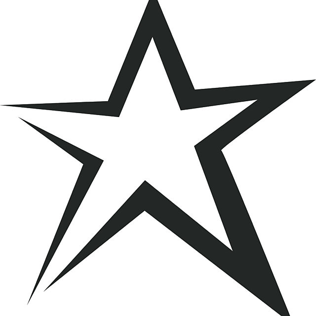 Blackpool Museum Trust star logo